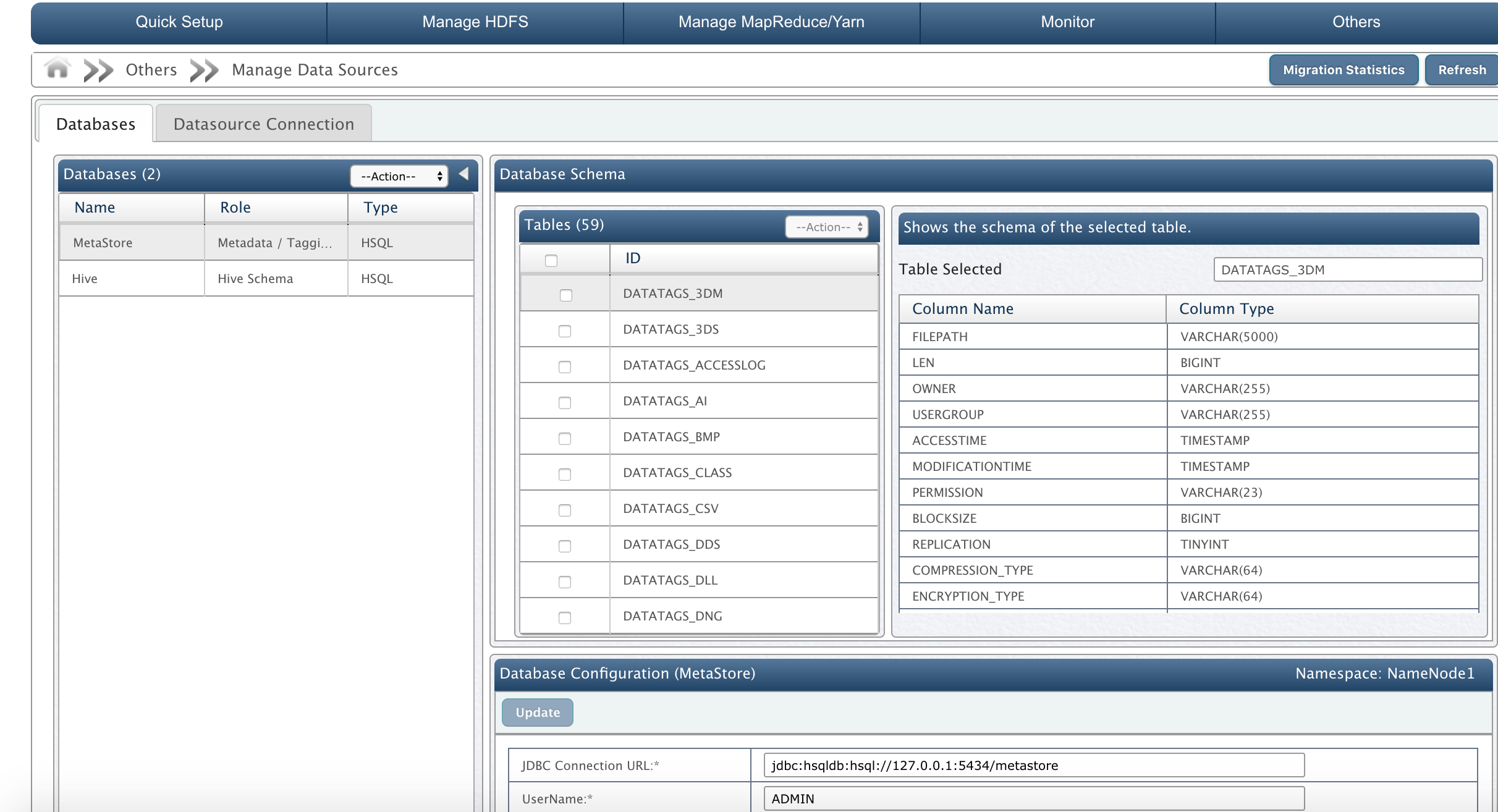 Database Manager View